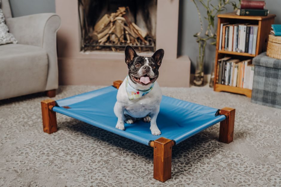 An Elevated Wooden Dog Bed With a Canvas Sling
