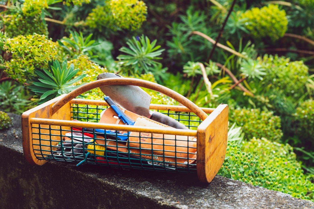 A Pine Tool Tote with a Through-Dowel Handle