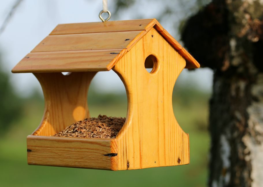 A Hanging Softwood Hopper Bird Feeder
