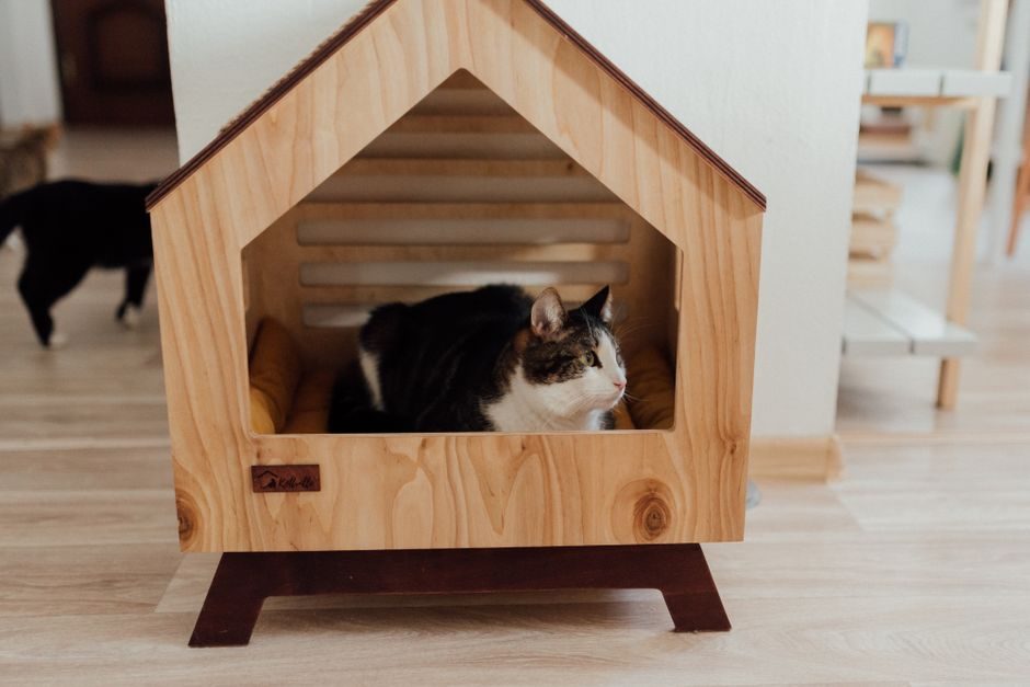 A Plywood A-Frame Cat House on Short Legs