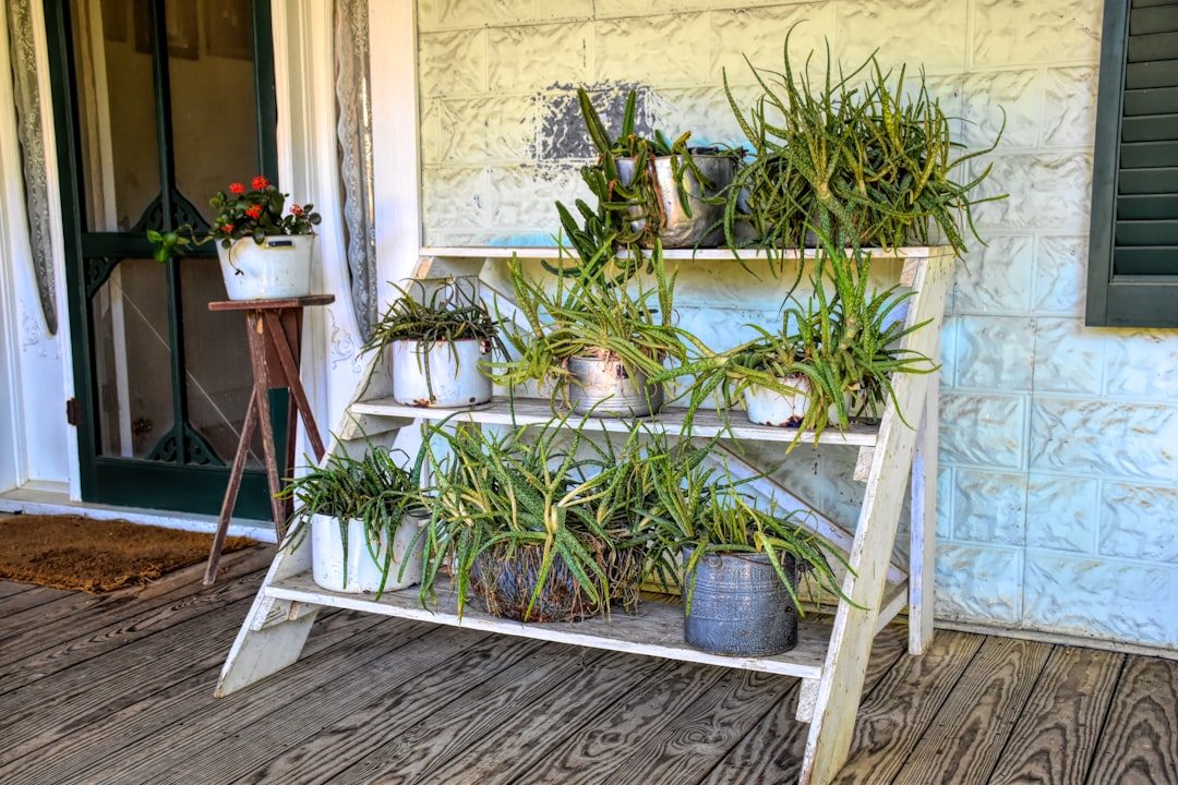 A Three-Tier Ladder Plant Stand